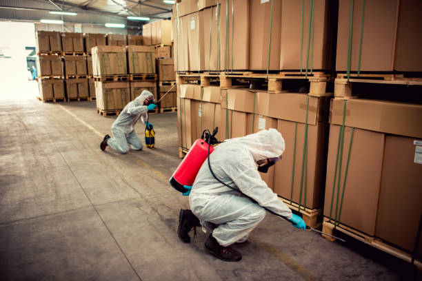 Best Rat Extermination Near Me  in Westlake, OH