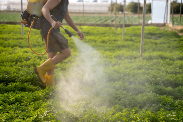Best Mosquito Control Services  in Westlake, OH