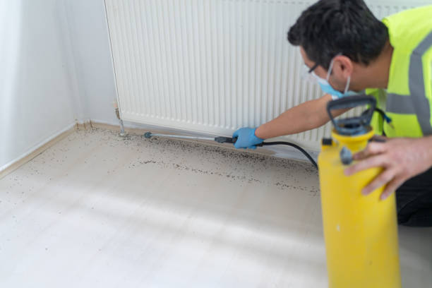 Best Residential Pest Control  in Westlake, OH