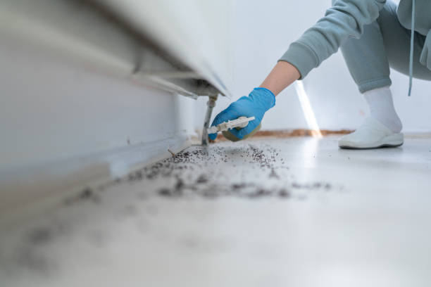 Professional Pest Control in Westlake, OH