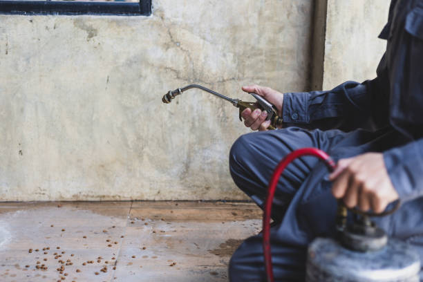 Best Termite Control Services  in Westlake, OH
